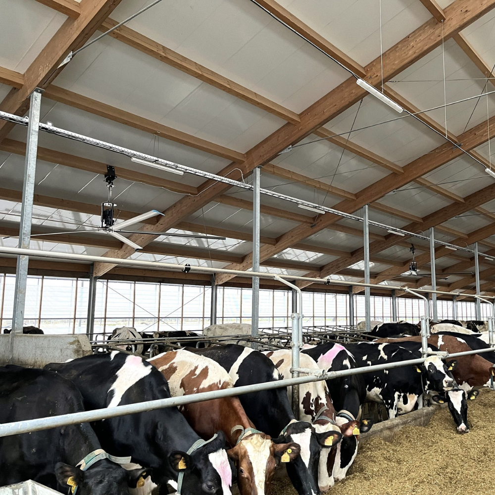 Ventilators Big Air PÜRe